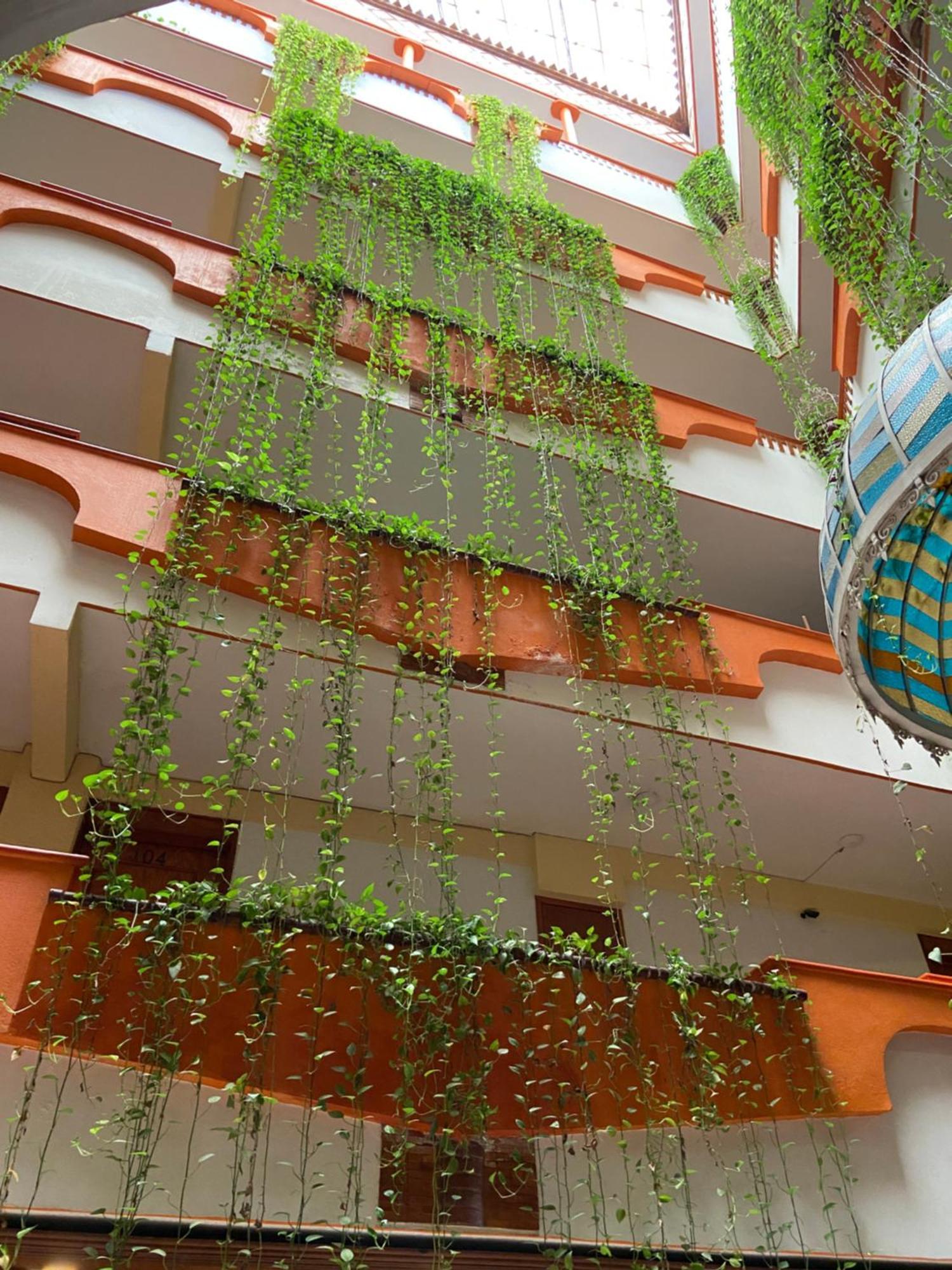 Hotel Baez Carrizal 비야에르모사 외부 사진