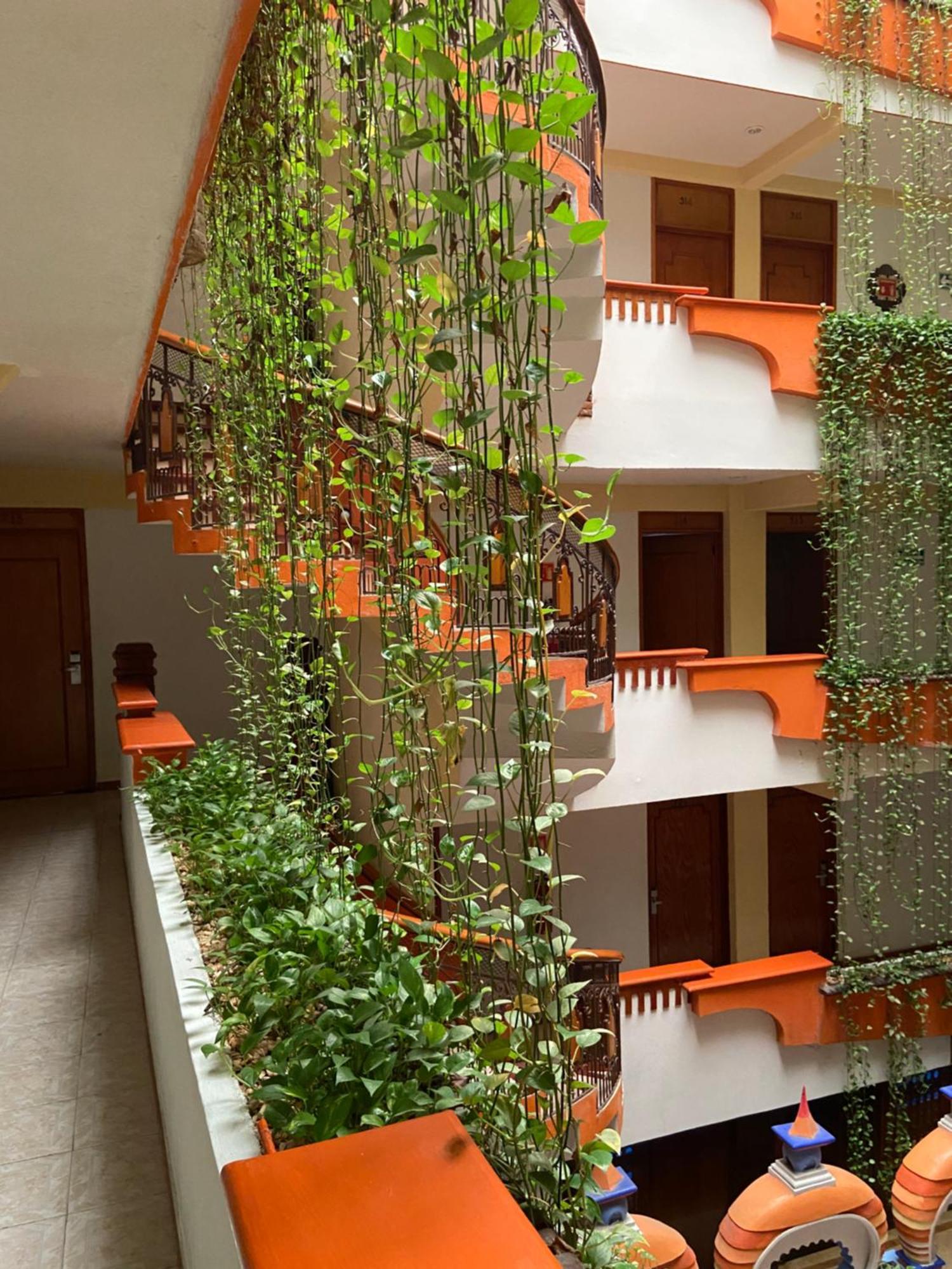 Hotel Baez Carrizal 비야에르모사 외부 사진